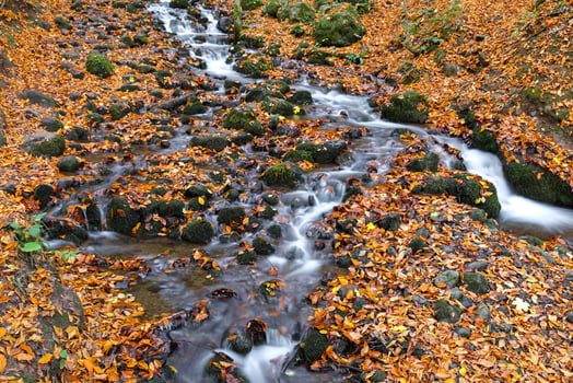 Waterfall in Yedigoller National Park, Bolu, Turkey photo