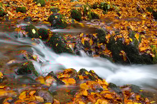 Waterfall in Yedigoller National Park, Bolu, Turkey photo