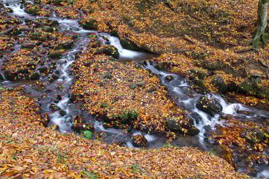 Waterfall in Yedigoller National Park, Bolu, Turkey photo