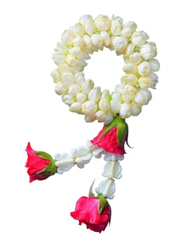 jasmine garland symbol of Mothers day in thailand on white background with clipping path photo