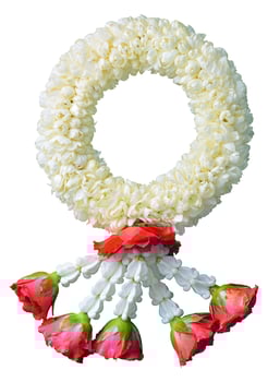 jasmine garland symbol of Mothers day in thailand on white background with clipping path photo