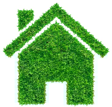 Grass home icon, isolated on white background photo