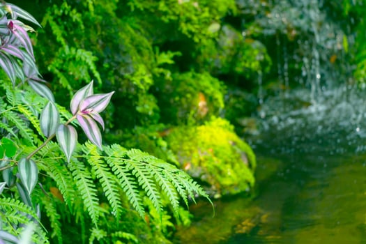 close up green garden with waterfall background photo