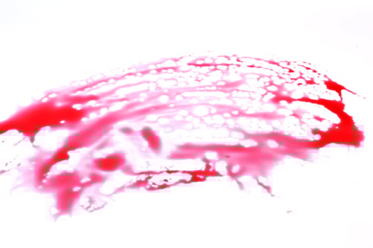 Blood stains isolated on white background photo