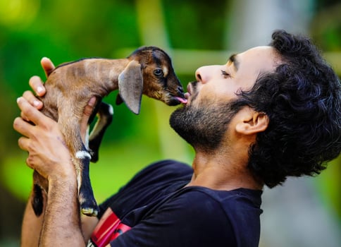 boy with cute baby goat pet animal photo