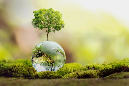 tree growth on globe glass in nature. concept eco earth day photo