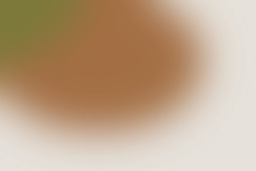 Beautiful gradient background, toning, subtle earth tone colors, blurred background. photo