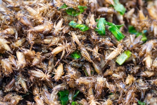 Close-up of fried crickets for sale in the market photo