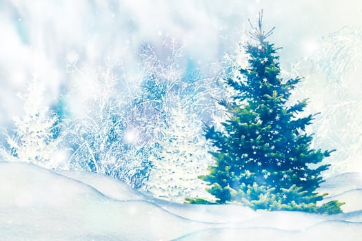 Happy New Year and Merry Christmas. winter forest with snow covered trees. photo