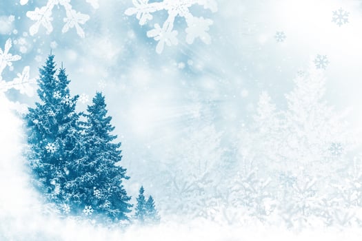snow covered trees. Merry Christmas and Happy New Year photo