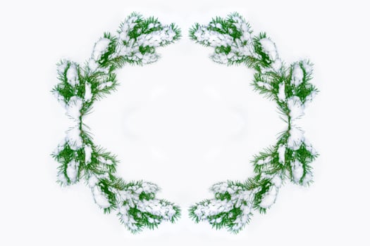 Coniferous spruce branch. Frozen winter forest with snow covered trees. photo