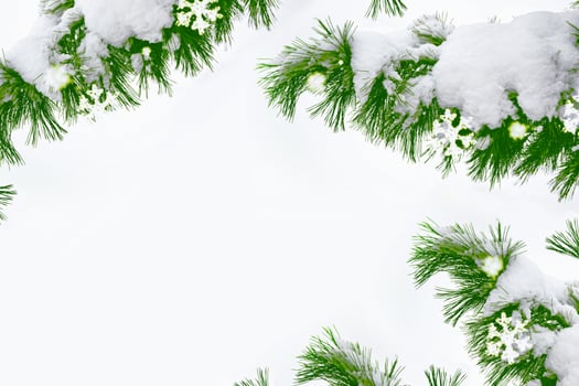 Christmas tree in the snow isolated on a white background. greeting card. photo