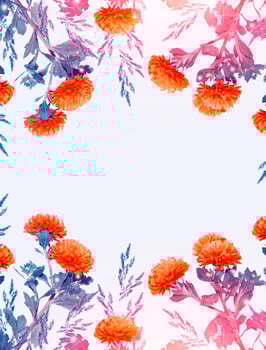 Colorful autumn flowers of chrysanthemum photo