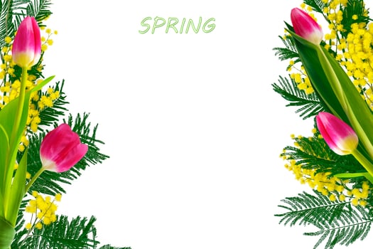 spring colorful flowers tulips. floral collection. photo