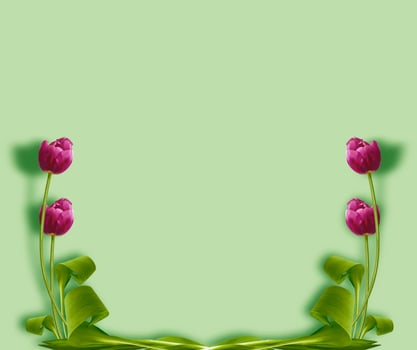 spring colorful flowers tulips. floral collection. photo