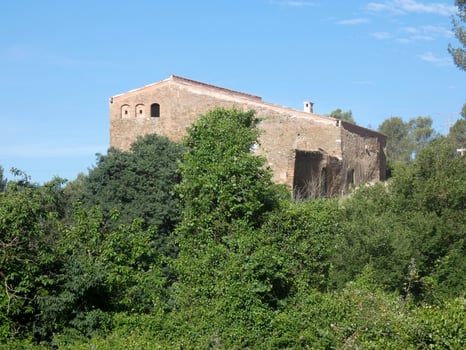 lush vegetation in the mountains of Collcerola pulmon of the city of Barcelona and surroundings, Spain photo