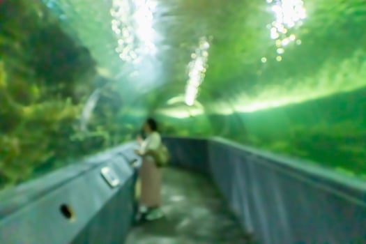Underwater tunnel aquarium blur background photo