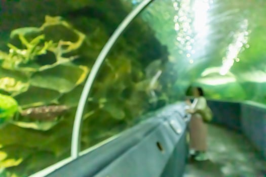Underwater tunnel aquarium blur background photo