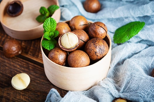 Macadamia nuts in shell with mint leaves and honey on wooden background photo
