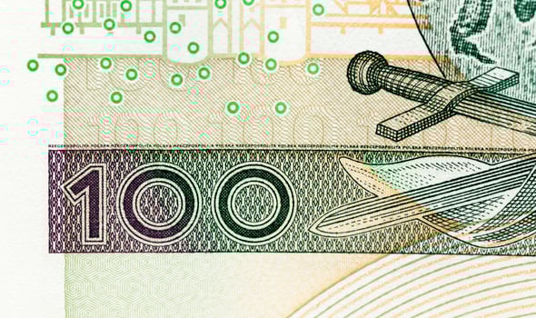 Polish Zloty closeup photo