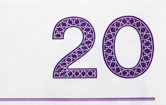 twenty zloty close up photo