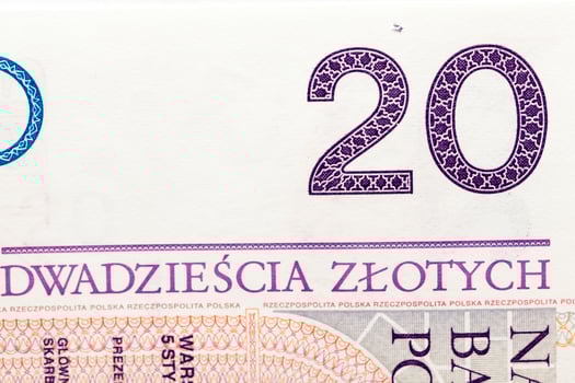 twenty zloty close up photo