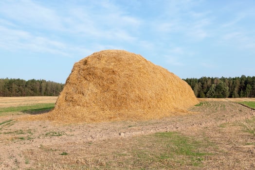 stack of straw in the field photo