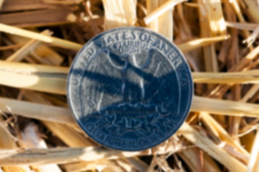 coin in the straw photo