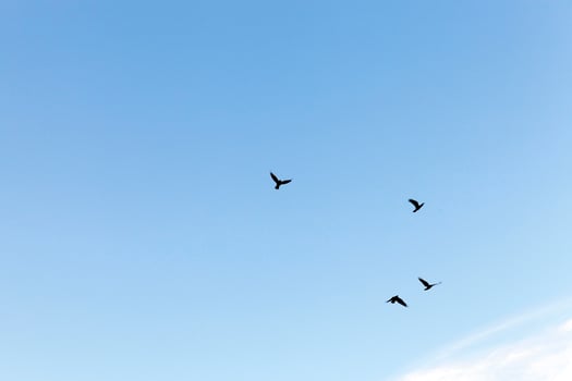 photographed the sky with clouds photo