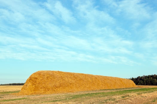 stack of straw in the field photo
