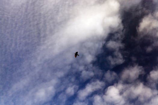 sky with clouds photo