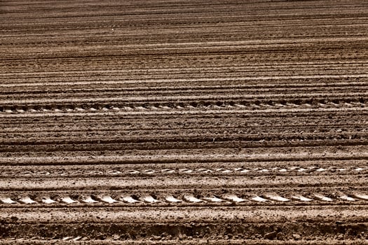 plowed land. close-up photo
