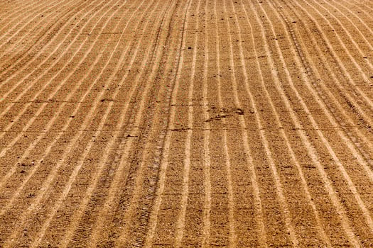 plowed agricultural land photo