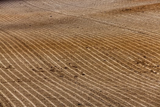 plowed agricultural land photo