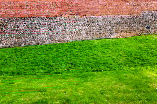 Grass at the fortress photo