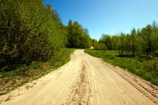 Dirt road in the forest photo