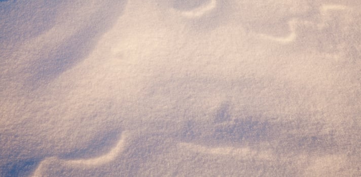 snow. close up photo