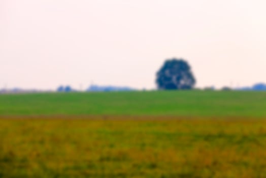 Nature in autumn season photo