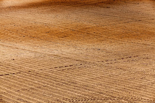 plowed agricultural field photo