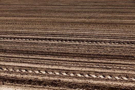 plowed land. close-up photo