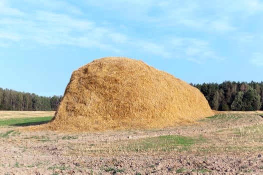 stack of straw in the field photo