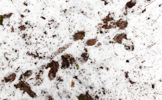land covered with snow photo