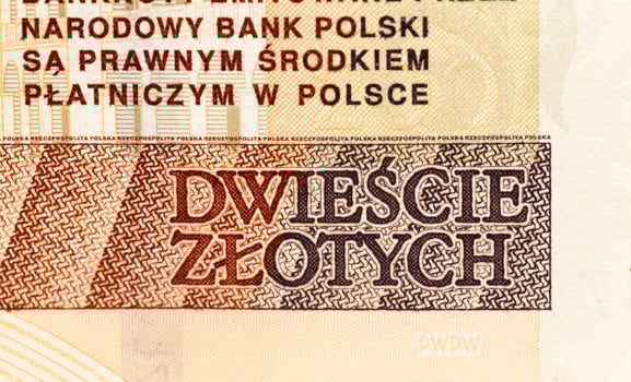 Polish banknotes, close-up photo