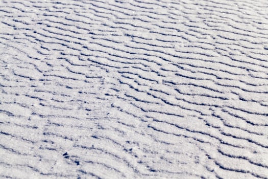 land covered with snow photo