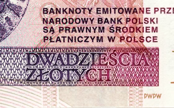 twenty zloty close up photo