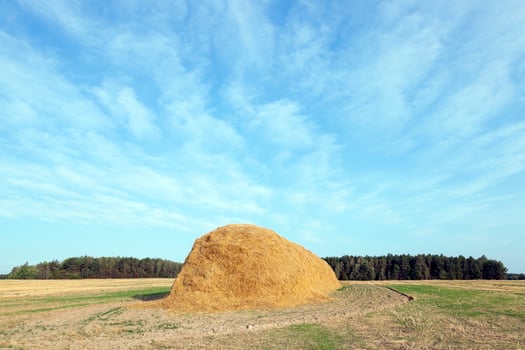 stack of straw in the field photo