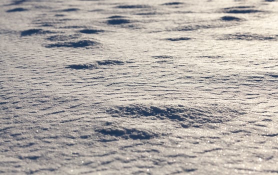 Snow at sunset photo