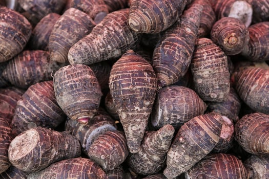 pile of taro for retail sale in local market. background of fresh taro. photo