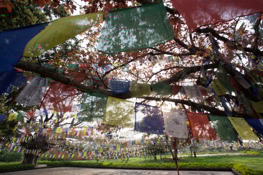 Buddhist praying flags in Lumbibi, Nepal photo