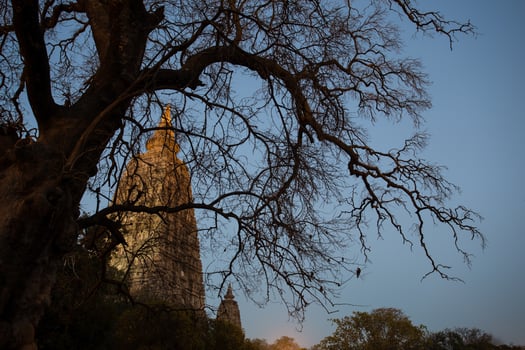 Mahabodhi temple, bodh gaya, India photo